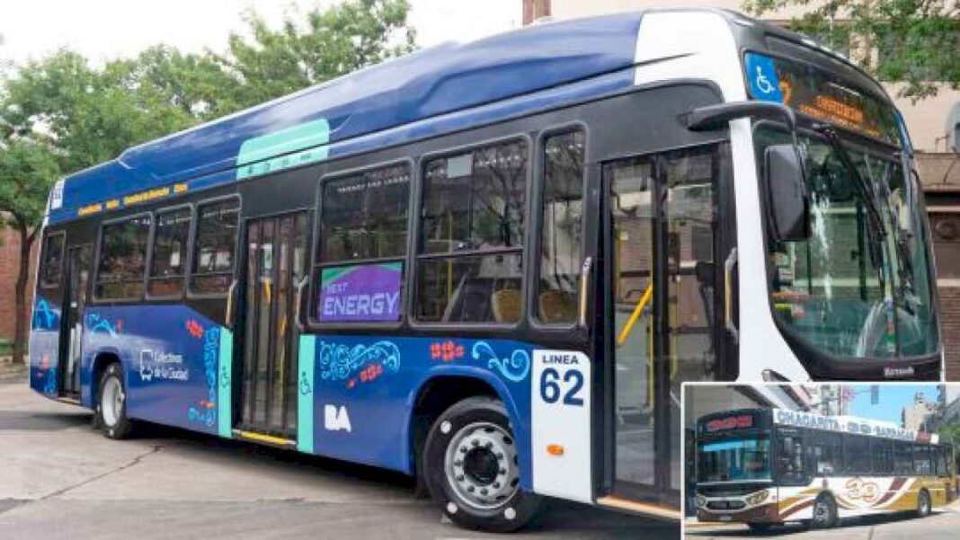 polemica-por-el-cambio-de-identidad-en-los-colectivos-portenos;-quieren-pintarlos-de-azul